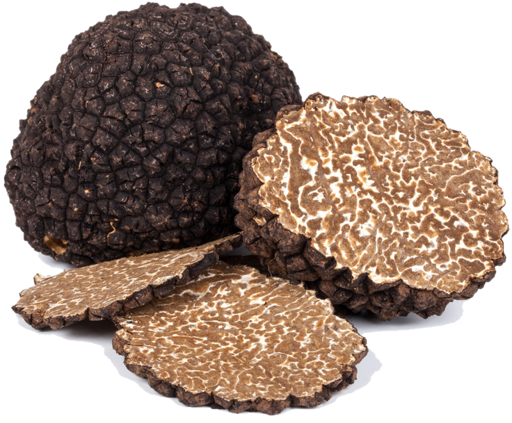 Свежий черный летний трюфель (Tuber Aestivum)